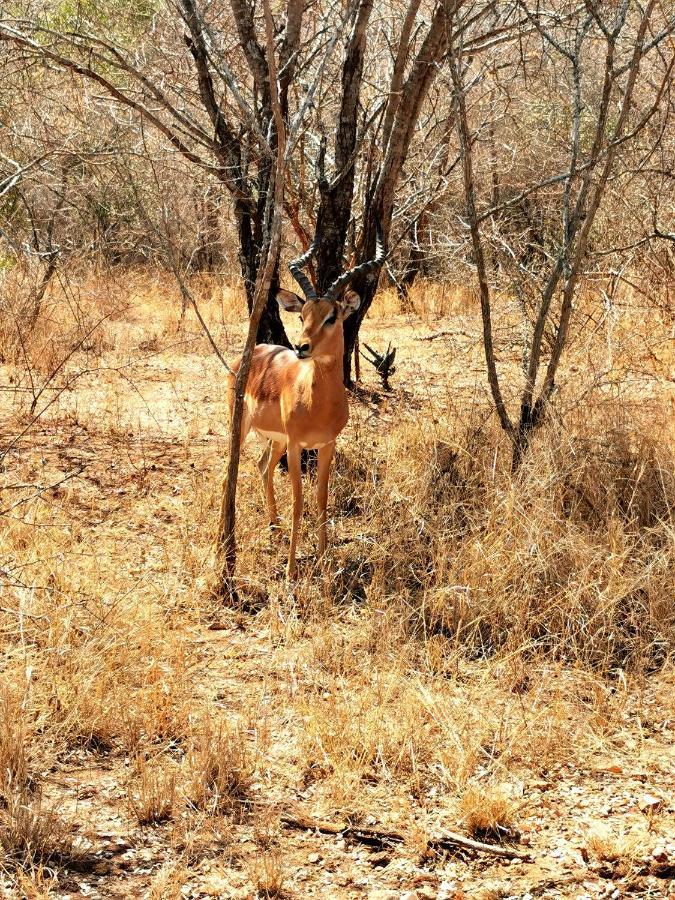 John And Noleen's Place * Marloth Park
