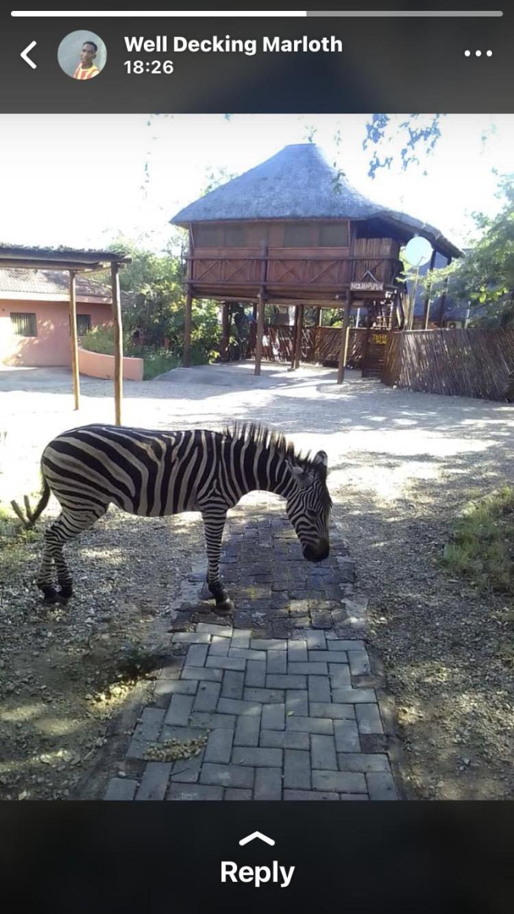 John And Noleen's Place * Marloth Park